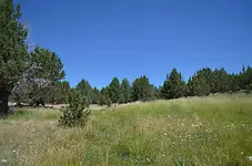 wagontire camp1.webp