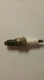 plug again.webp