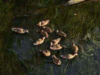 K1600_DSCN3839.webp