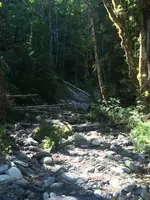 ImageUploadedByTreasureNet.com1470155513.262376.webp