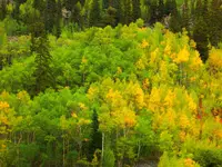 trip 090616 2.webp