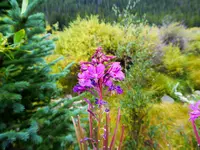 trip 090616 3.webp