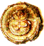 stamp.webp stamp.webp