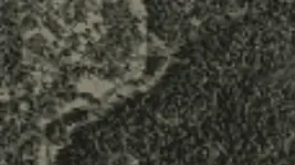 satalite mapquest.webp
