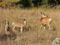 trip 090616 5.webp
