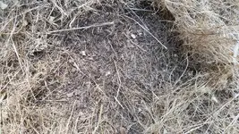 1470163692836.webp