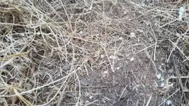 1470163742290.webp