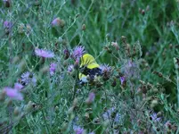 K1024_DSCN3687.webp