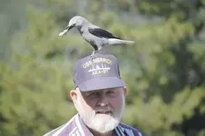 me and bird.webp me and bird.webp