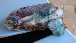 DSCF4300.webp
