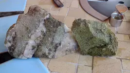 DSCF4306.webp