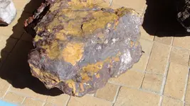 DSCF4314.webp