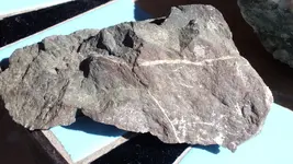 DSCF4312.webp