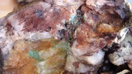 DSCF4302.webp