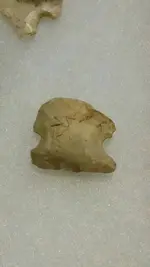 1468211519745.webp