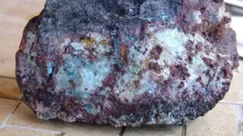 DSCF4309.webp