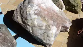 DSCF4313.webp