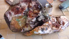DSCF4301.webp