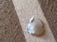 ImageUploadedByTreasureNet.com1470172022.200066.webp ImageUploadedByTreasureNet.com1470172022.200066.webp