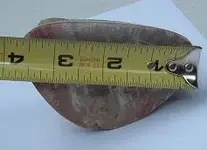DSCF2211.webp