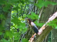 DSCN4758.webp