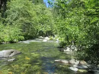 creek.webp