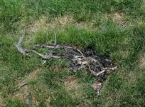K1600_DSCN4757.webp
