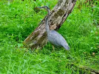 K1600_DSCN5690.webp