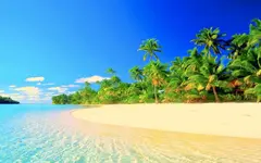 image.webp