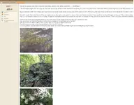 post.webp