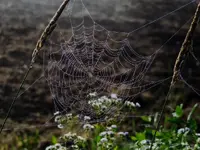 K1024_DSCN3371.webp