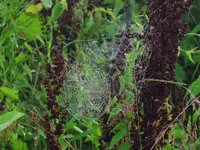 K1024_DSCN3374.webp