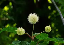 K1024_DSCN3402.webp