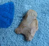DSCF8382 (2).webp