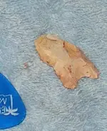 DSCF8465 (2).webp