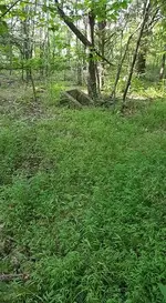 13669210_1226002440777613_6456583751659358504_n.webp