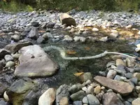 ImageUploadedByTreasureNet.com1471737528.361662.webp