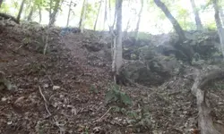 Uphill.webp