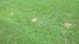 IMG_20160703_084810_731.webp