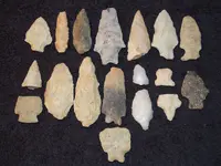 DSCN2529.webp