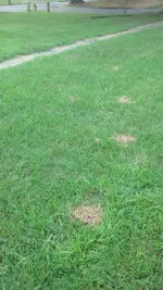 IMG_20160703_084827_246.webp