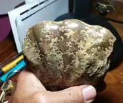 20160819_211737-1.webp