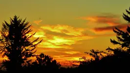 DSCN0751.webp