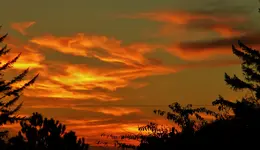 DSCN0752.webp