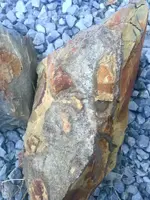 ImageUploadedByTreasureNet.com1474088260.975303.webp