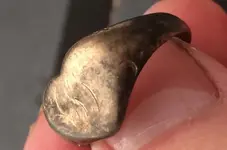 ring closeup.webp