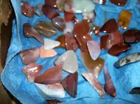 100_4744.webp