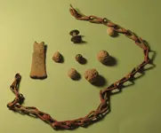 IMG_2664.webp IMG_2664.webp