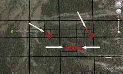 Barton 2.webp
