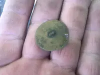 Flat Button - back.webp